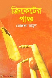 ক্রিকেটের পাঞ্চ