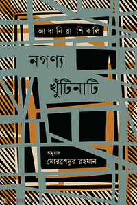 নগণ্য খুঁটিনাটি