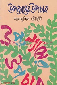 উপন্যাসের উপচার