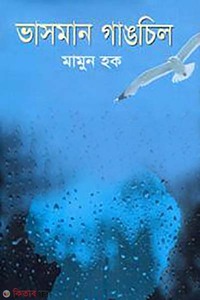 ভাসমান গাঙচিল