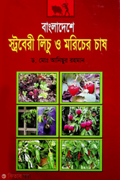 bangladeshe stoberi lichu o moricher chash (বাংলাদেশে স্ট্রবেরী লিচু ও মরিচের চাষ)