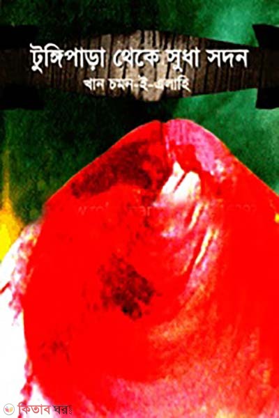 Tungi Para theke Sudhasdan  (টুঙ্গি পাড়া থেকে সুধাসদন)